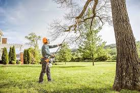 Best Hazardous Tree Removal  in Sublimity, OR